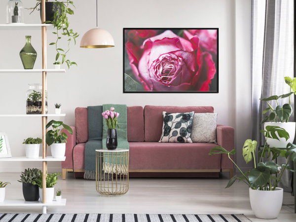 Aφίσα τοίχου 'Blooming Rosae'