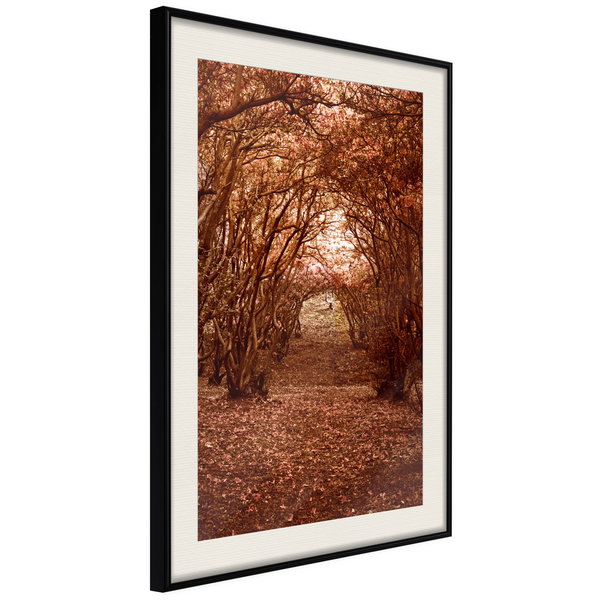 Poster 'Quiet Path'