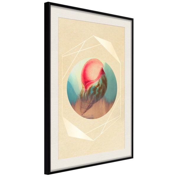 Poster 'Seashell'