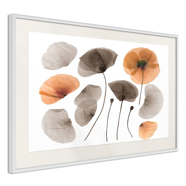 Poster 'Dried Poppies'