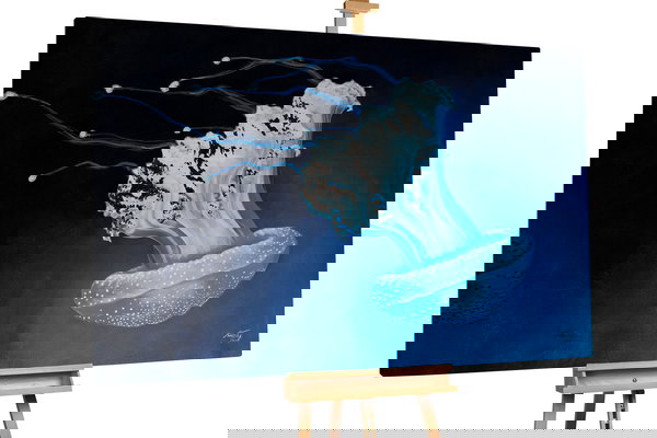 Un ejemplar único para su hogar o puesto de trabajo