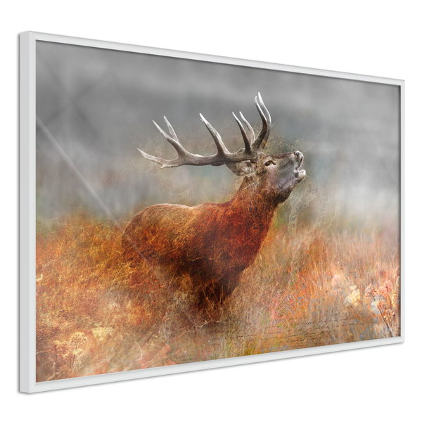 Poster 'Rut'