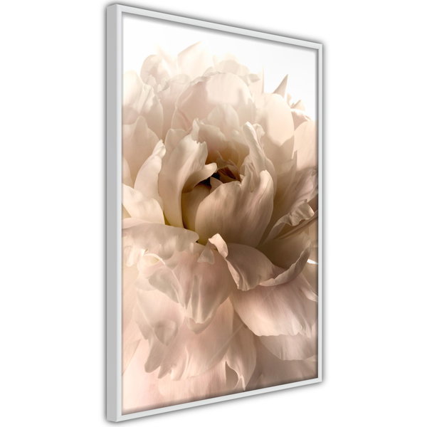 Poster 'Soft Petals'