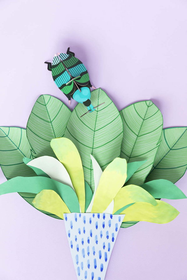 Wanddeko Papier 'Rüsselkäfer'