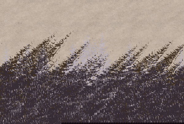 Behang 'Black Forest 1' 400x270cm