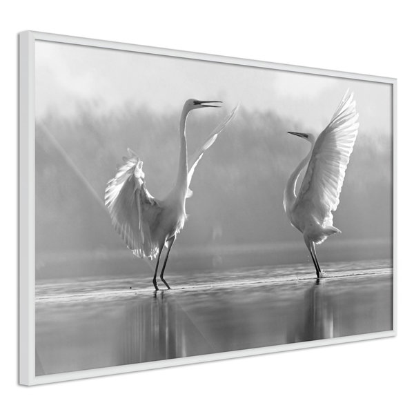 Poster 'Black and White Herons'