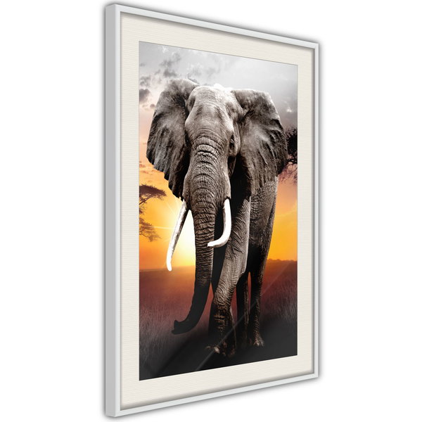 Poster 'Majestic Elephant'