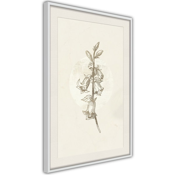 Poster 'Beige Campanula'
