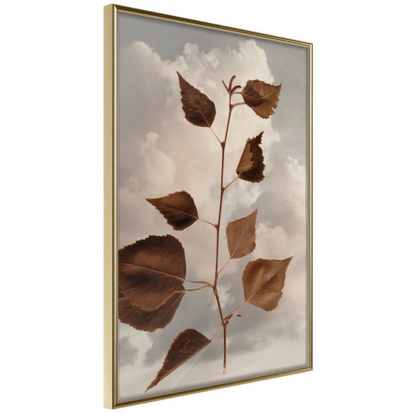 Póster 'Leaves in the Clouds'