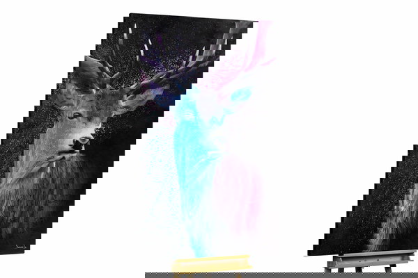 Un ejemplar único para su hogar o puesto de trabajo