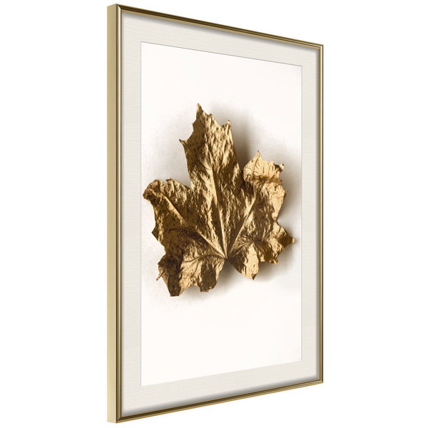 Poster 'Dried Maple Leaf'
