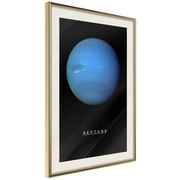 Poster 'Neptune'