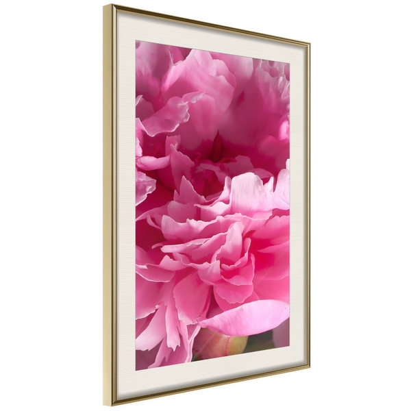 Poster 'Beautiful Peonies'