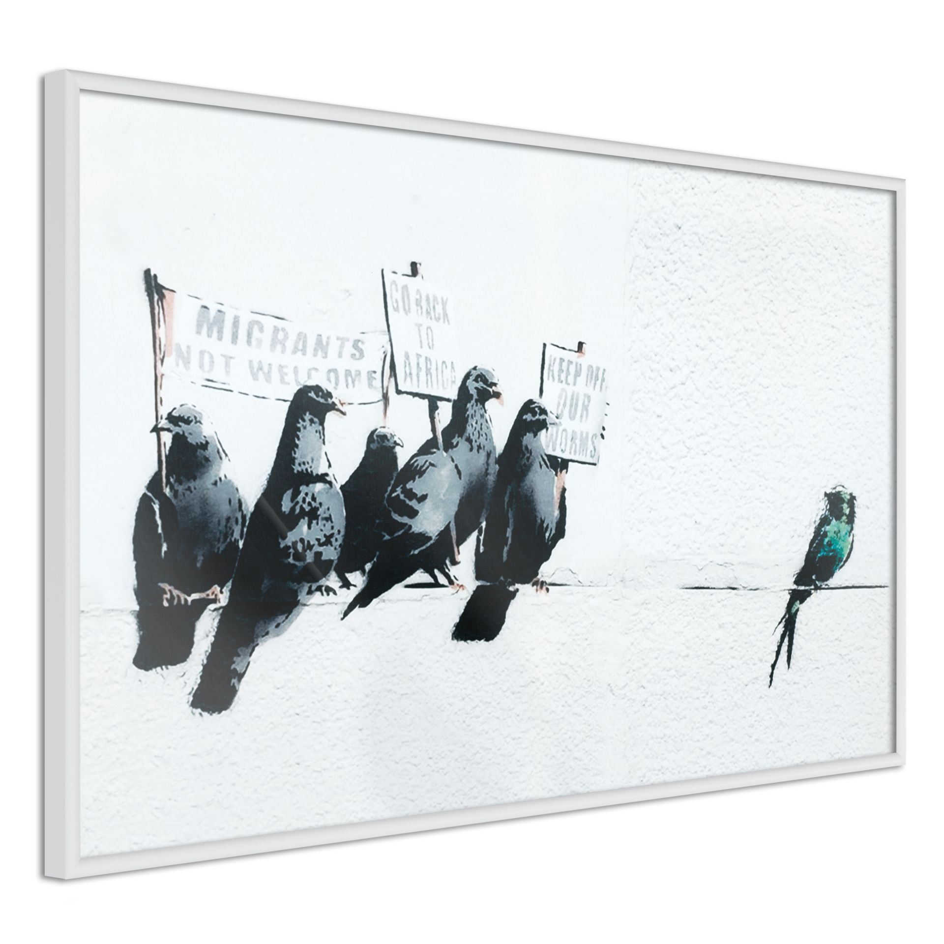 Poster 'Xenophobic Pigeons'