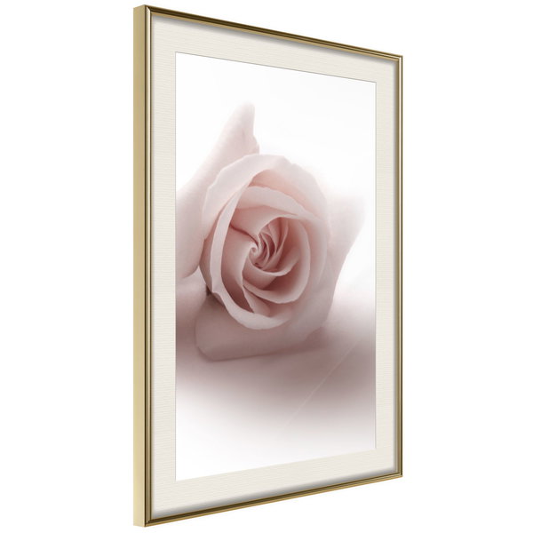 Poster 'Rosae Shadow'