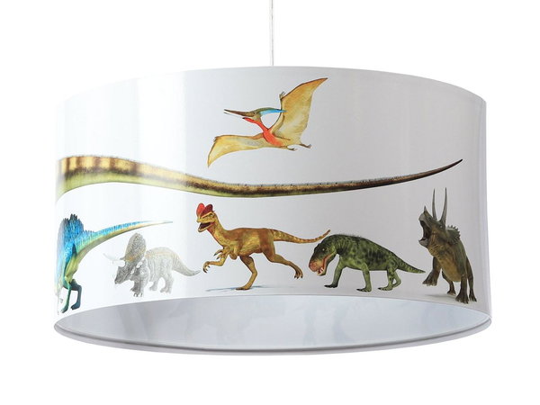 Suspension luminaire 'Foto Dreamy Fearful'