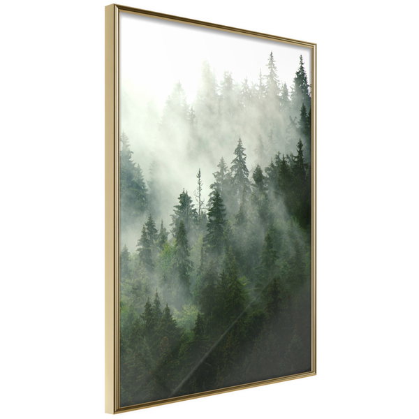 Poster 'Steaming Forest'