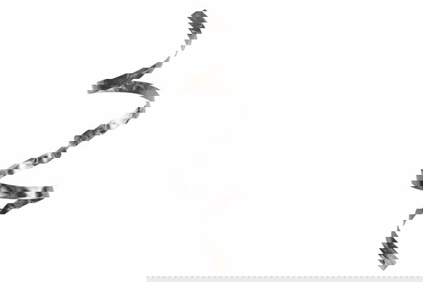 Decoración artística para su pared