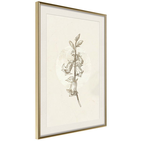 Poster 'Beige Campanula'