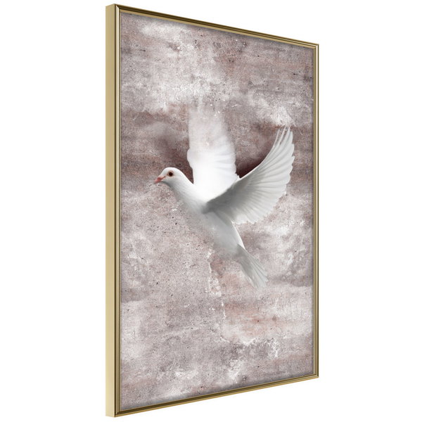 Poster 'White Dreams'