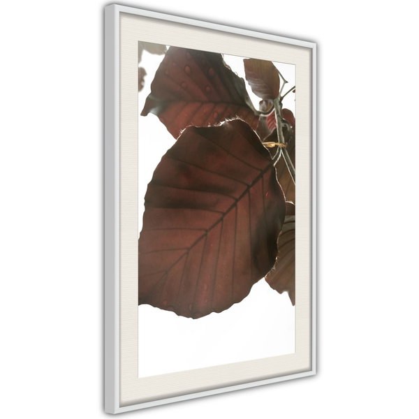 Poster 'Burgundy Tilia Leaf'