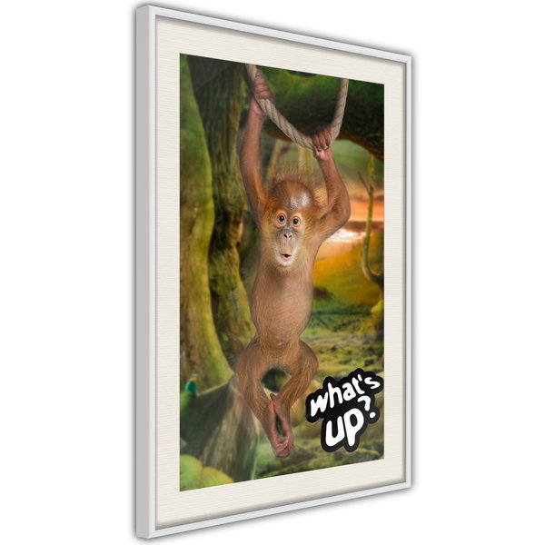 Poster 'What's Up?'