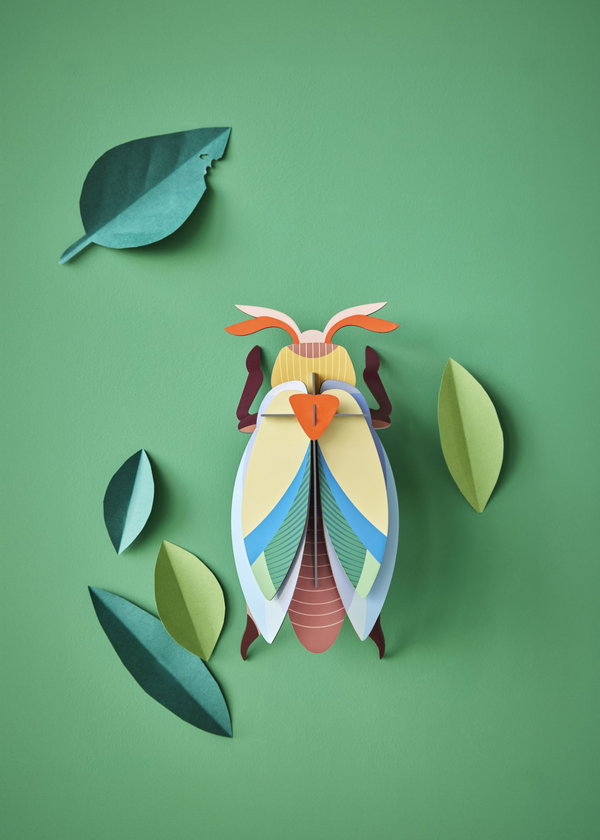Wanddeko Papier 'Bernstein-Schildkäfer'