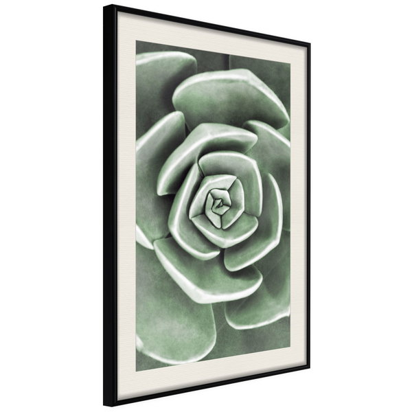 Poster 'Robust Plant'