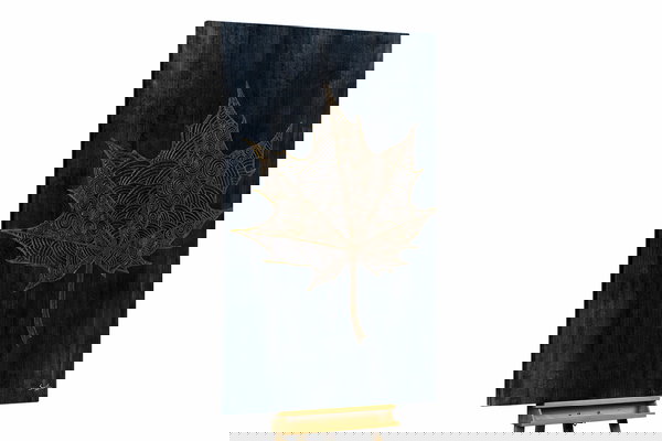 Een uniek exemplaar voor je interieur