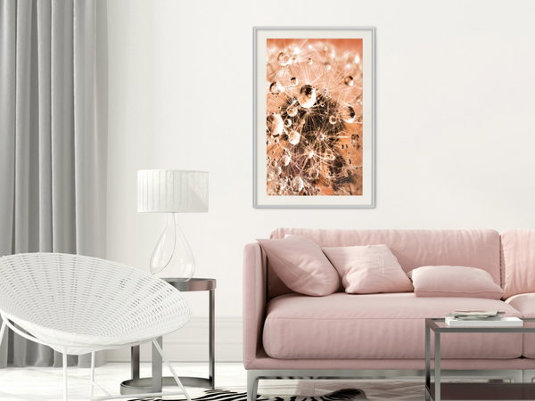 Poster 'Drops on Dandelion'