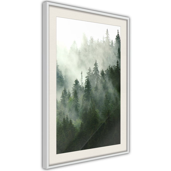 Poster 'Steaming Forest'
