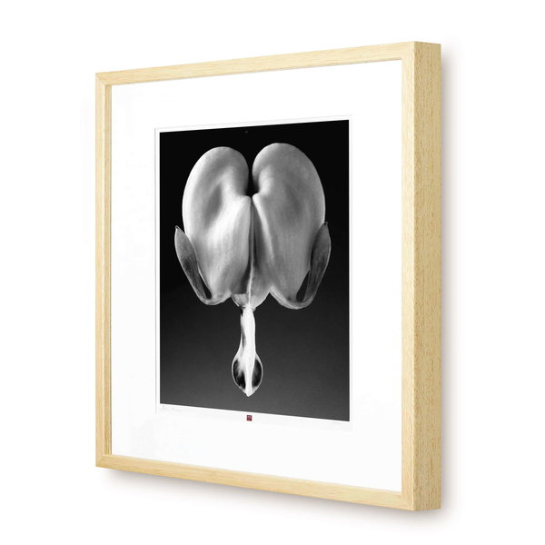 Unsere Flower-Edition als Fotogalerie