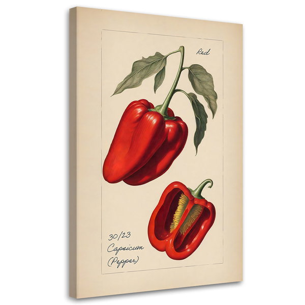 Kunstdruck auf Leinwand 'Pepper'