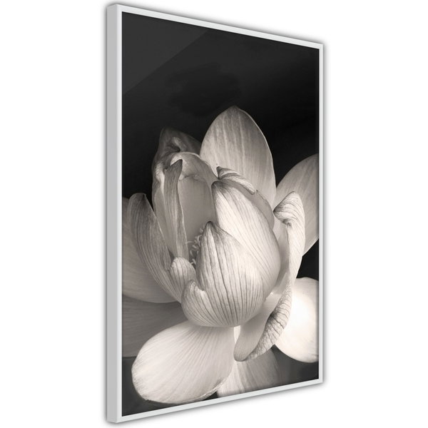 Poster 'Delicacy of a Flower'