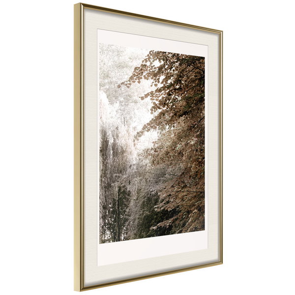 Poster 'Pond in the Park'