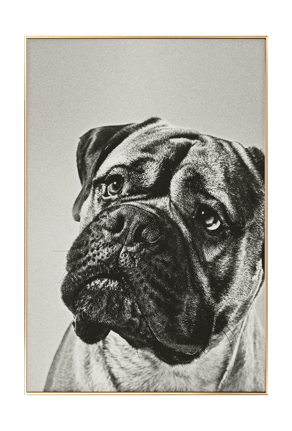 Artistieke momentopname