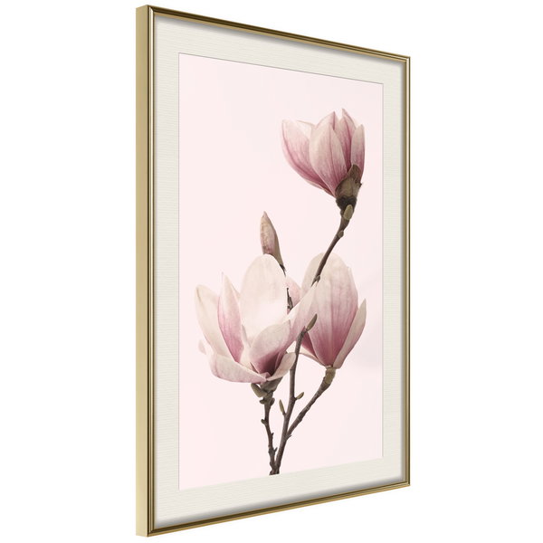 Poster 'Blooming Magnolias III'