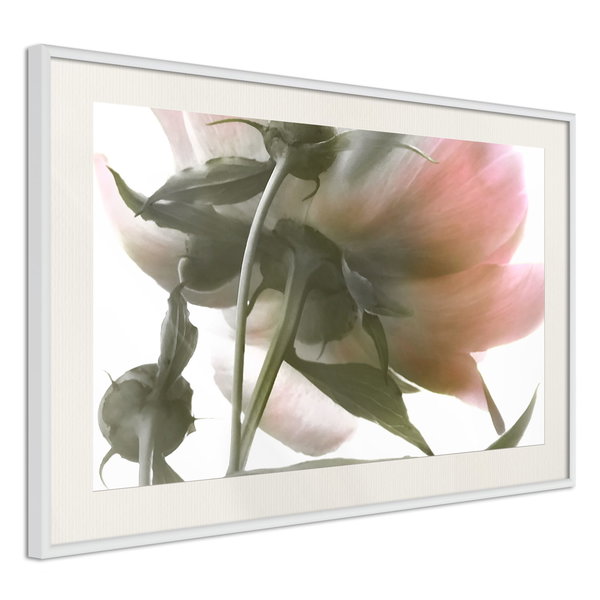 Poster 'Under the Flower'