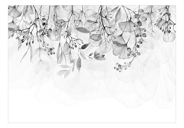 Selbstklebende Tapete 'Foggy Nature - Grey'