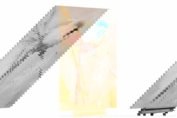 Un exemplaire unique pour votre intérieur