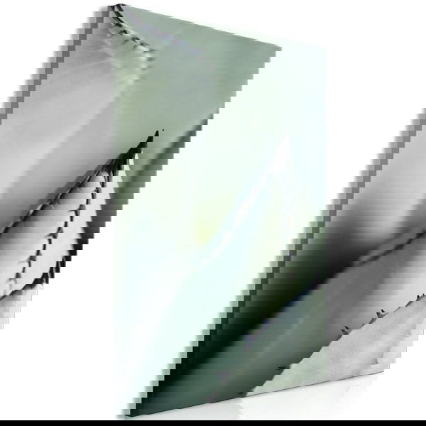 Umjetnički print na platnu 'Green Spikes Vertical'