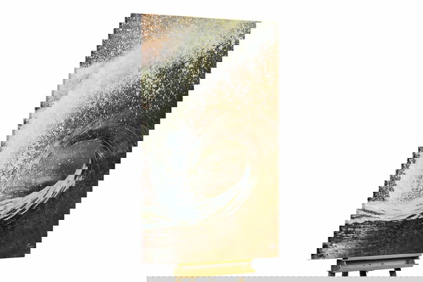 Un ejemplar único para su hogar o puesto de trabajo