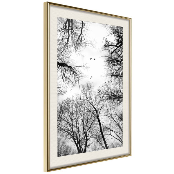 Poster 'Treetops'