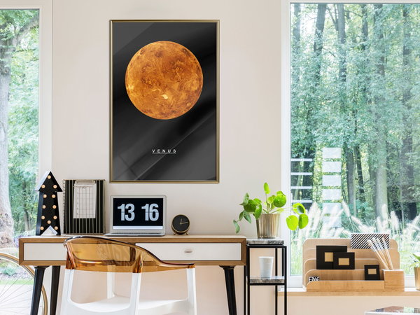 Poster 'Venus'