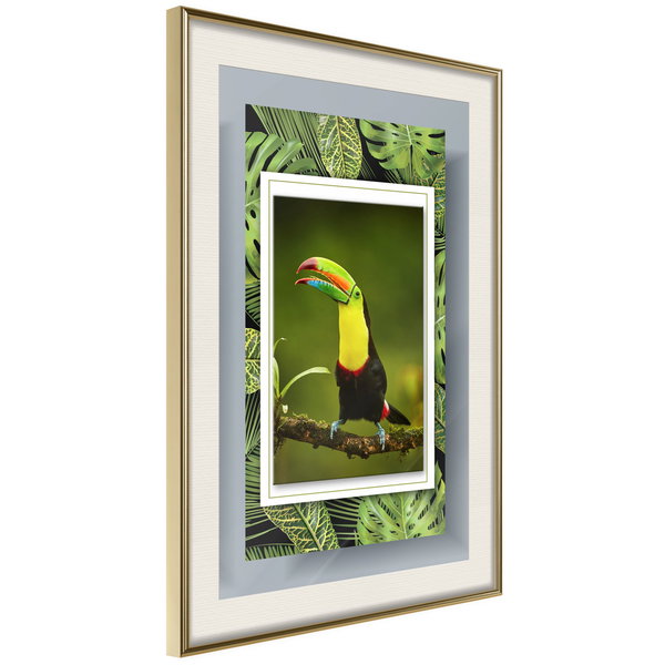 Poster 'Toucan in the Frame'
