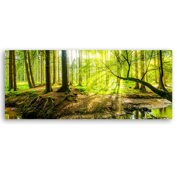 Kunstdruck auf Leinwand 'Green Forest Sunlight 2'