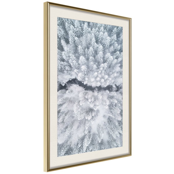 Poster 'Winter Forest From a Bird's Eye View'