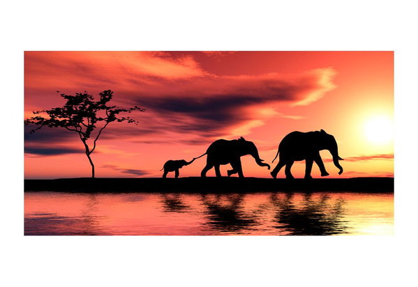 Wallpaper 'Elephants: Family'