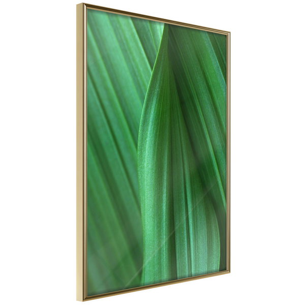 Poster 'Leaf Structure'