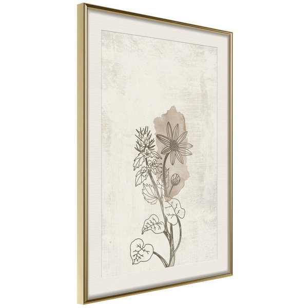 Poster 'Life of Plants'